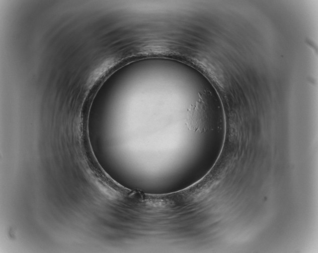 X0000095890439200801111159