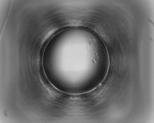 X0000095890440200801111159