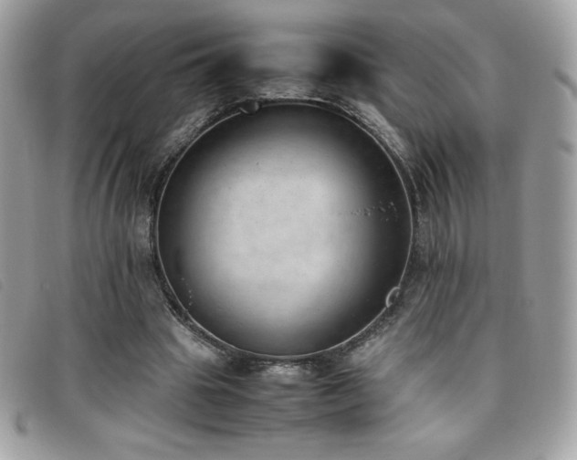 X0000095890441200801111159