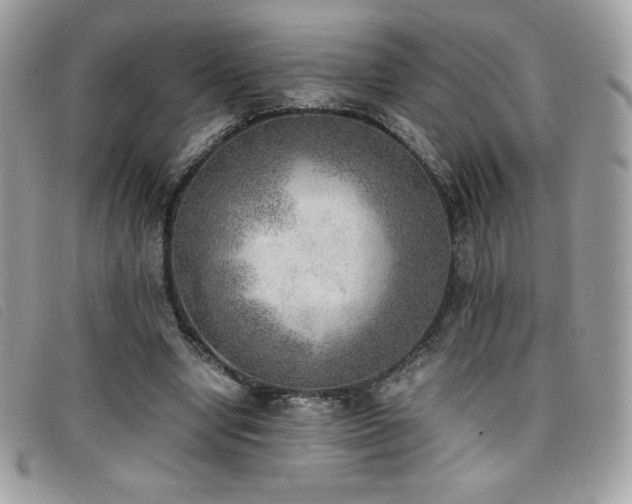 X0000095890442200801111159