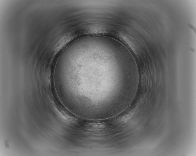 X0000095890443200801111159
