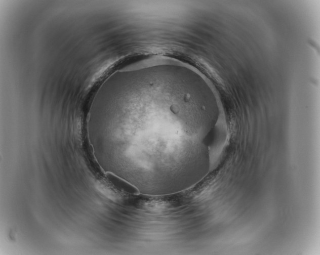X0000095890444200801111159