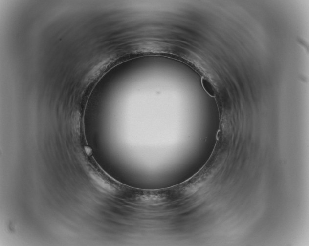 X0000095890445200801111159