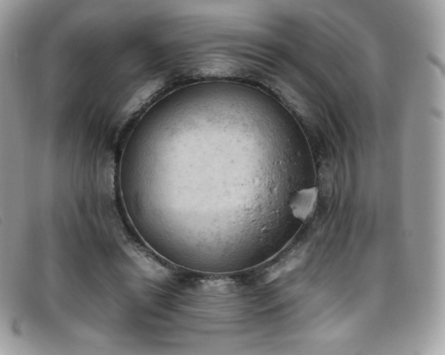 X0000095890446200801111159