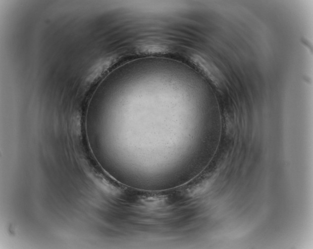 X0000095890447200801111159