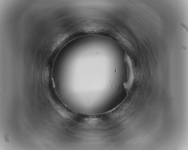 X0000095890448200801111159