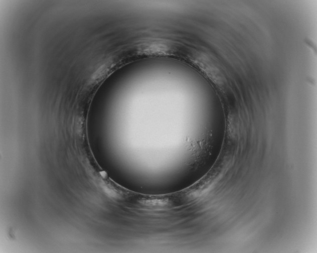 X0000095890449200801111159