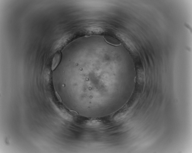 X0000095890451200801111159