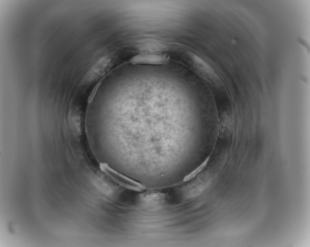X0000095890452200801111159