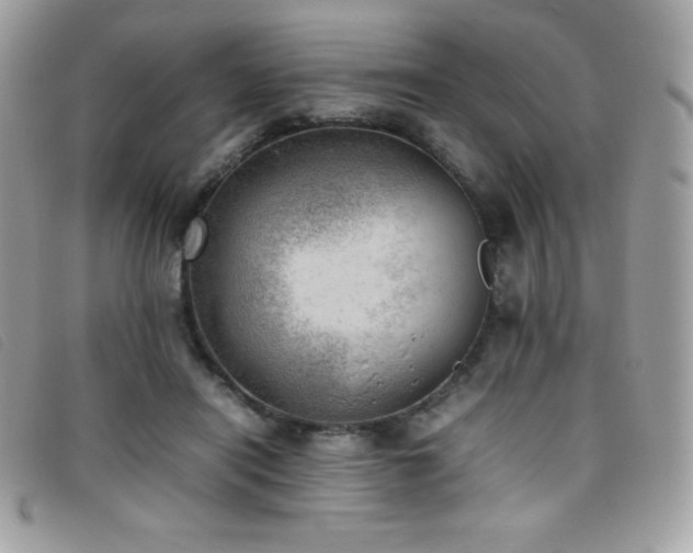 X0000095890454200801111159