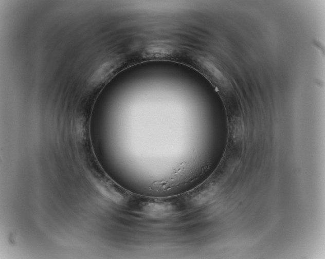 X0000095890455200801111159