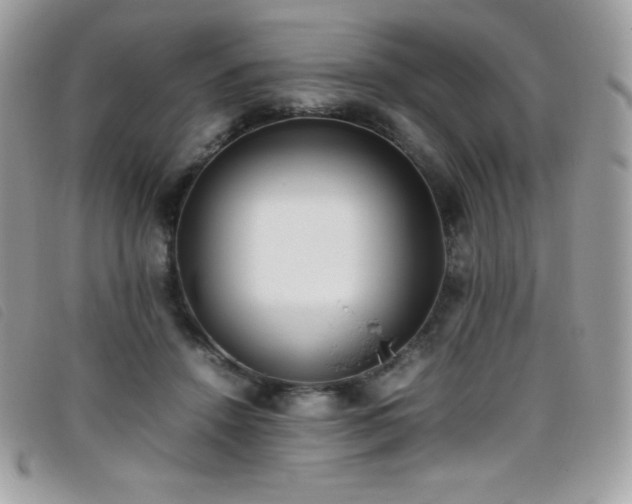 X0000095890456200801111159