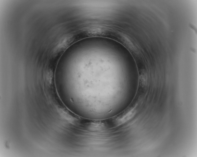 X0000095890458200801111159