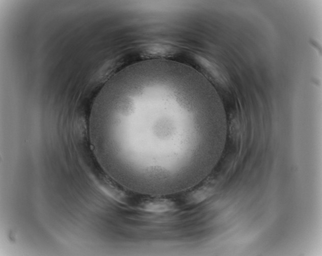 X0000095890459200801111159