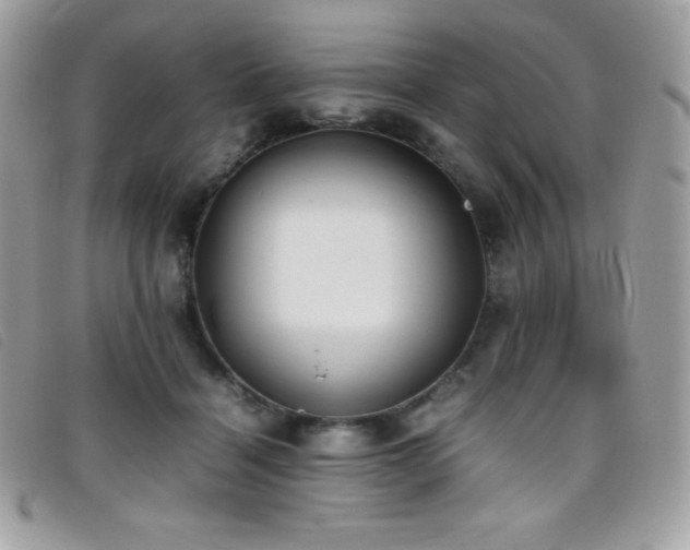 X0000095890460200801111159