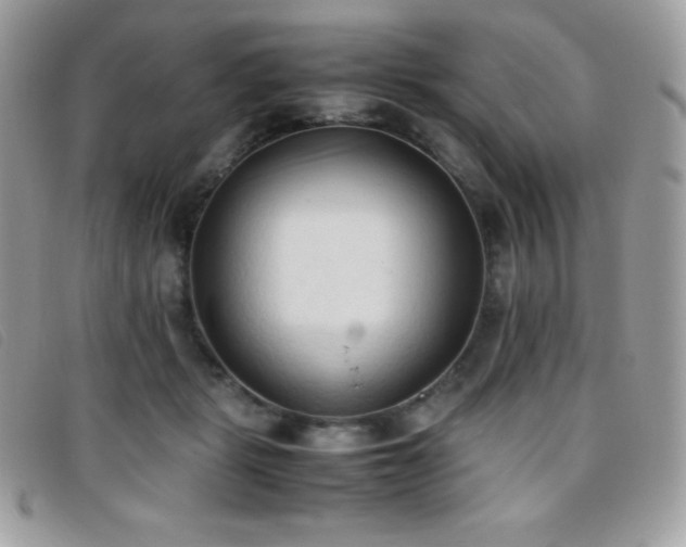 X0000095890461200801111159
