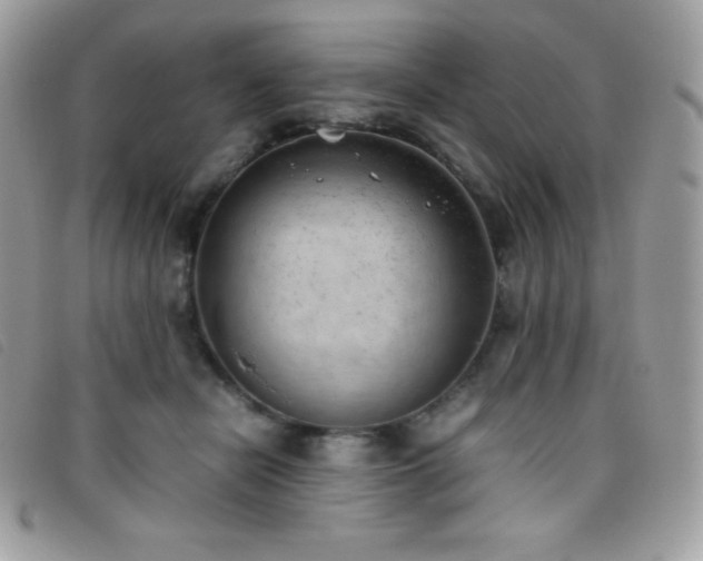 X0000095890462200801111159