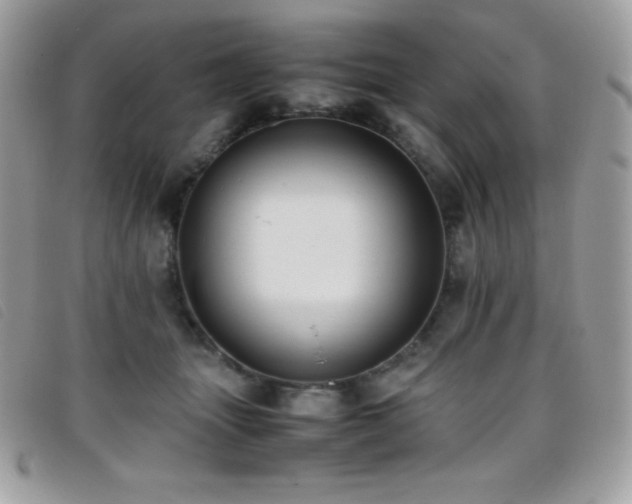 X0000095890463200801111159