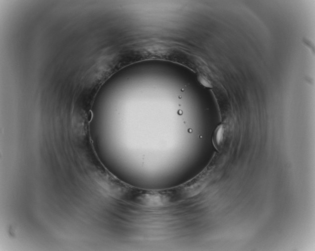 X0000095890464200801111159