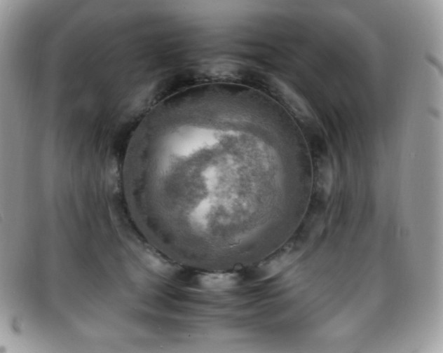 X0000095890465200801111159