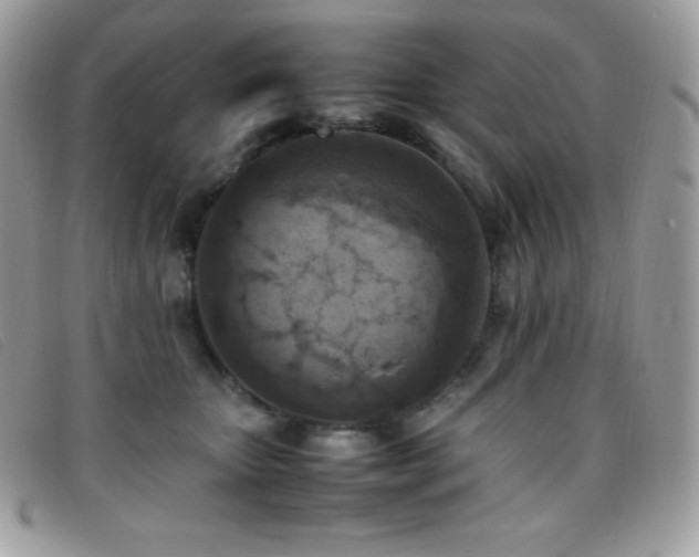 X0000095890467200801111159