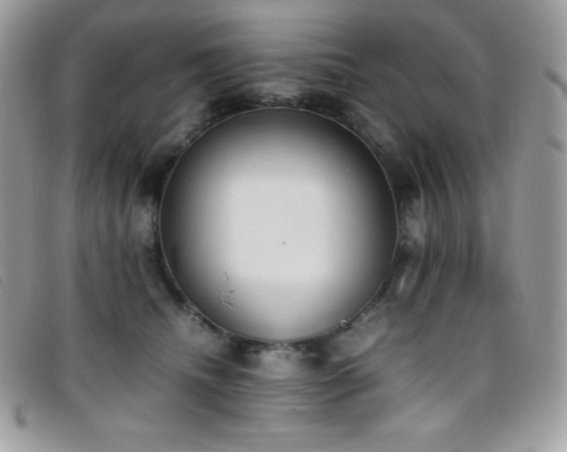 X0000095890468200801111159