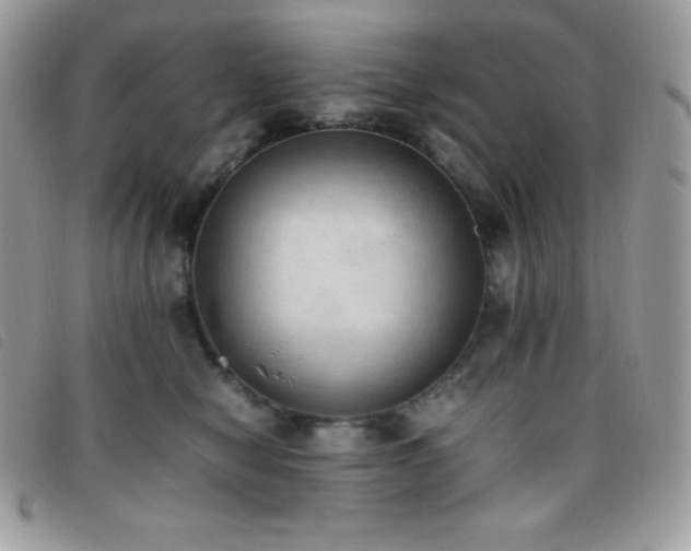 X0000095890470200801111159