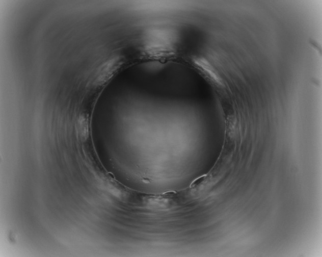 X0000095890471200801111159