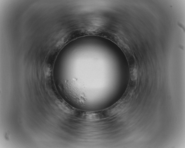 X0000095890472200801111159