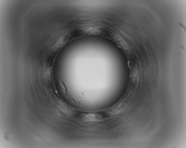 X0000095890473200801111159