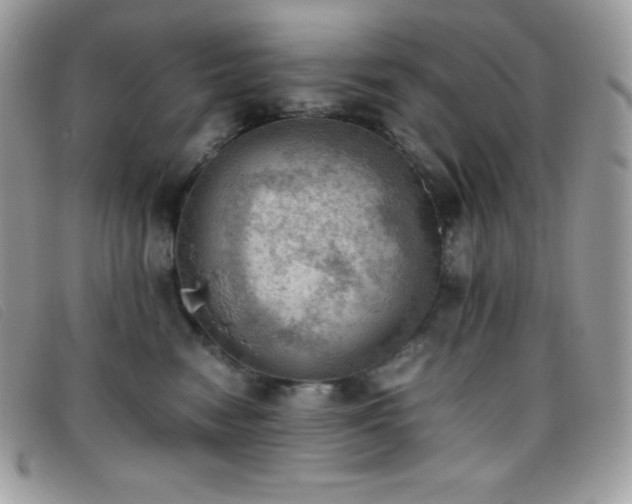 X0000095890474200801111159