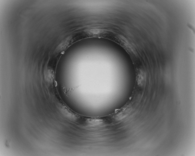 X0000095890476200801111159