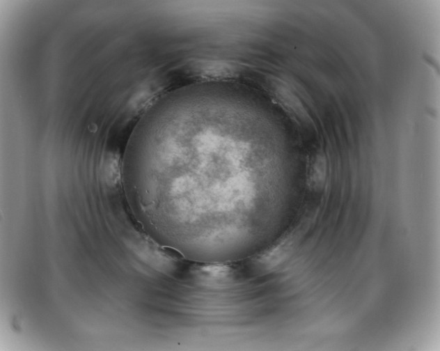 X0000095890478200801111159