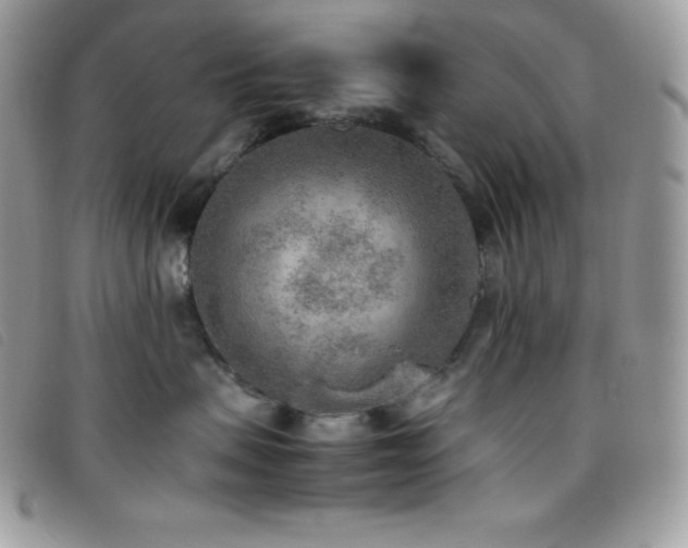 X0000095890479200801111159