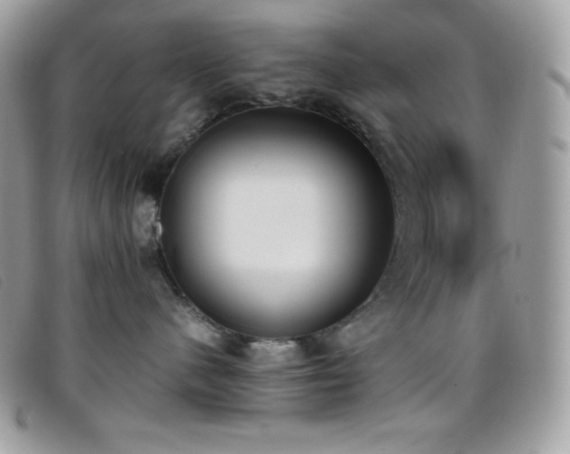X0000095890480200801111159