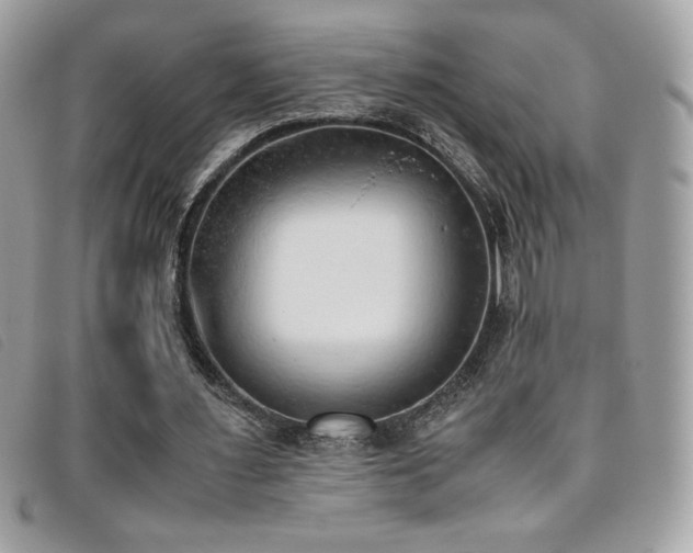 X0000095890483200801111159