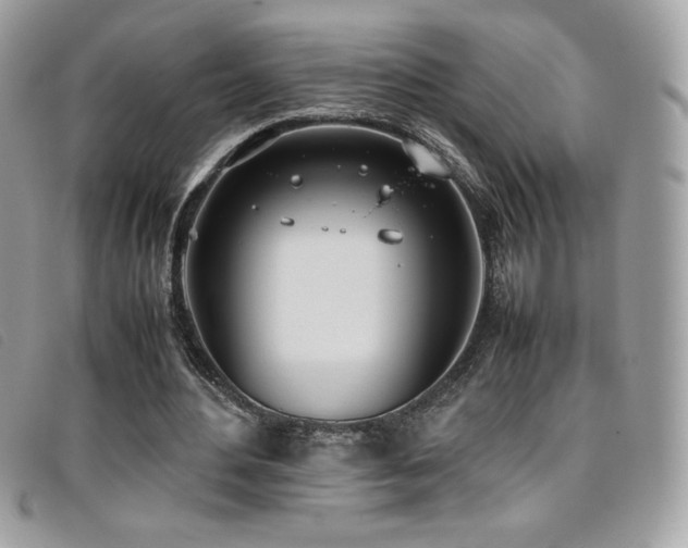 X0000095890484200801111159