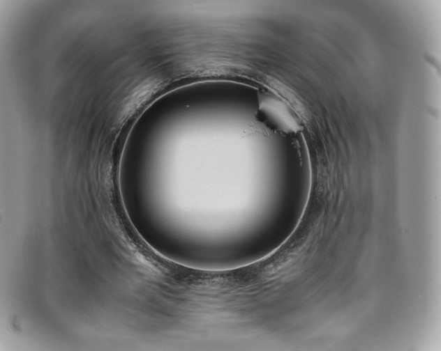 X0000095890485200801111159
