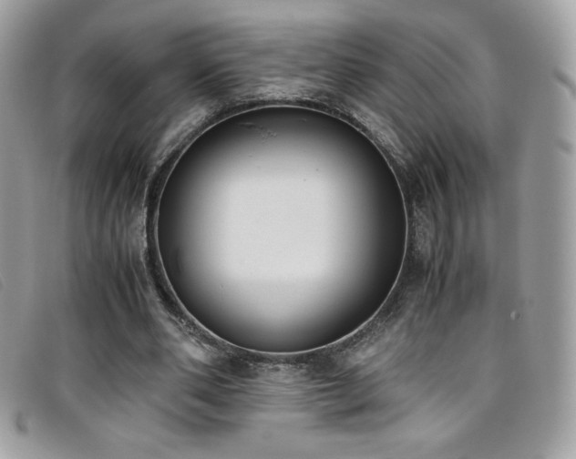 X0000095890486200801111159