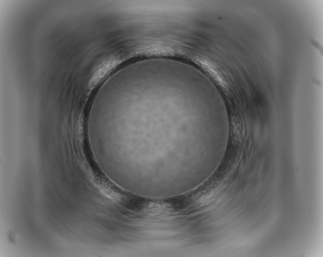 X0000095890487200801111159