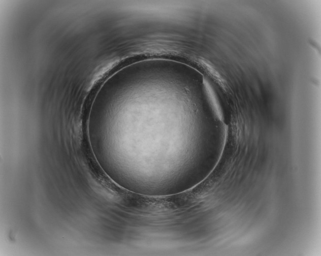 X0000095890488200801111159