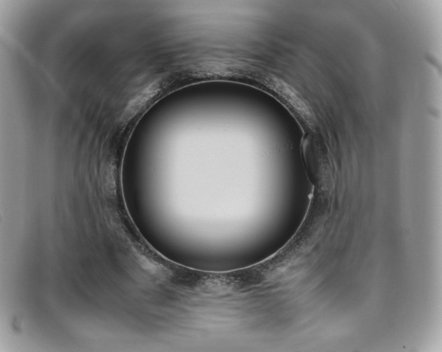 X0000095890489200801111159