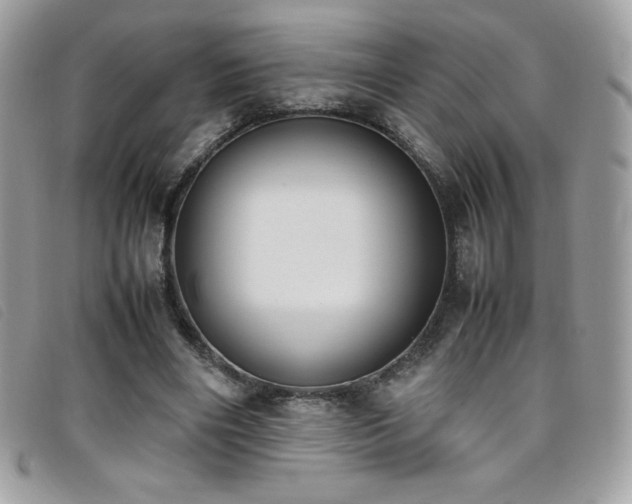 X0000095890490200801111159