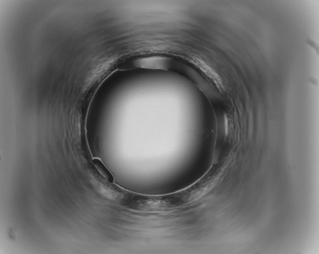 X0000095890493200801111159