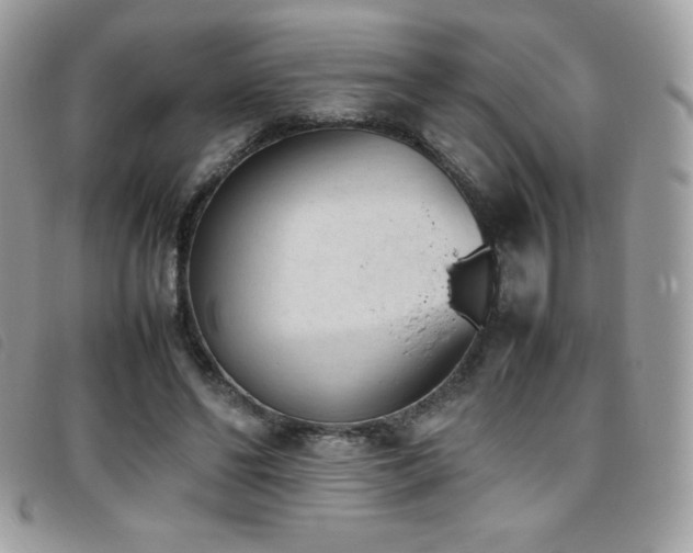 X0000095890494200801111159