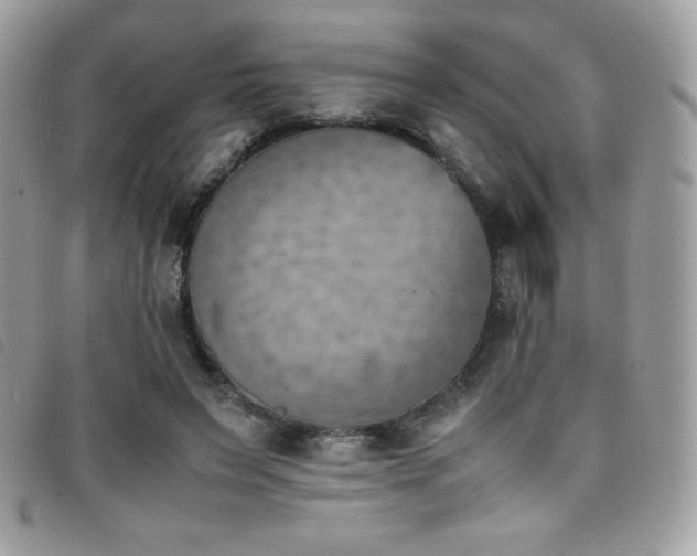 X0000095890495200801111159