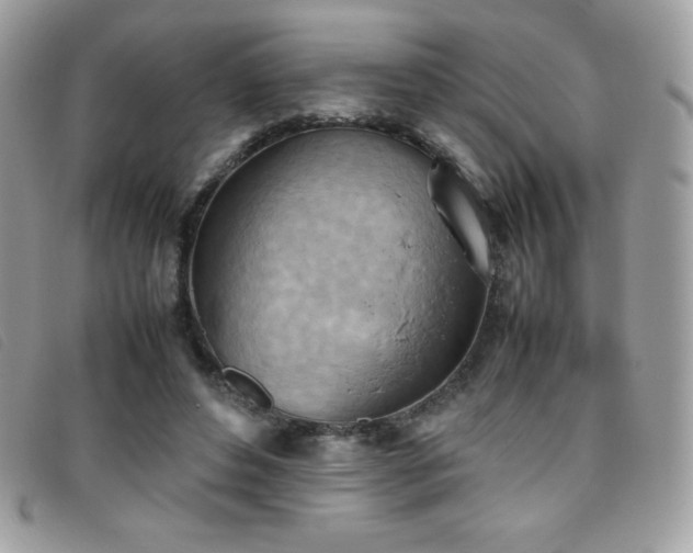 X0000095890496200801111159