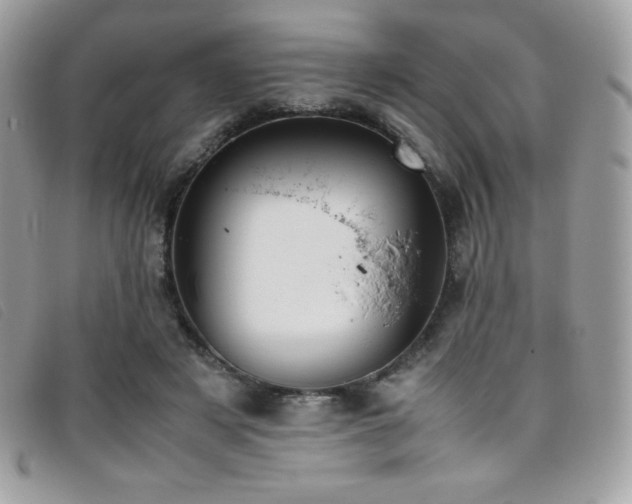 X0000095890497200801111159