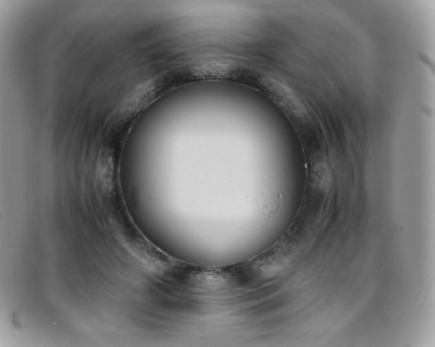 X0000095890498200801111159