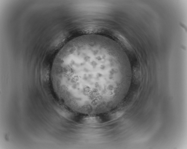 X0000095890499200801111159